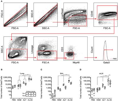 Pulmonary Group 2 Innate Lymphoid Cell Phenotype Is Context Specific: Determining the Effect of Strain, Location, and Stimuli